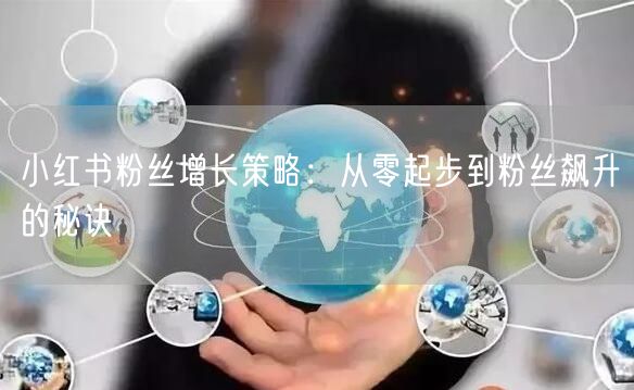 小红书粉丝增长策略：从零起步到粉丝飙升的秘诀