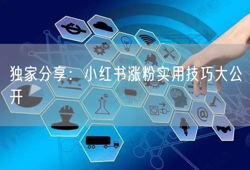 独家分享：小红书涨粉实用技巧大公开