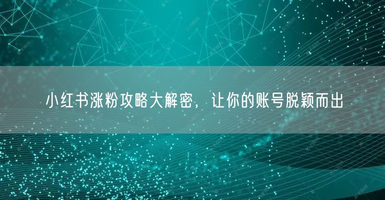 小红书涨粉攻略大解密，让你的账号脱颖而出