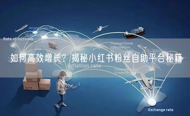 如何高效增长？揭秘小红书粉丝自助平台秘籍
