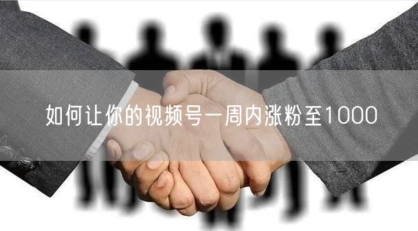 如何让你的视频号一周内涨粉至1000