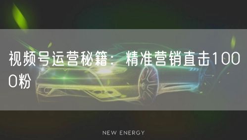 视频号运营秘籍：精准营销直击1000粉