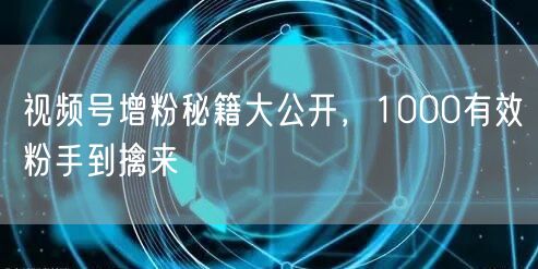 视频号增粉秘籍大公开，1000有效粉手到擒来