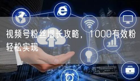 视频号粉丝增长攻略，1000有效粉轻松实现