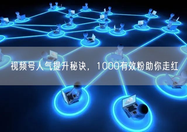 视频号人气提升秘诀，1000有效粉助你走红
