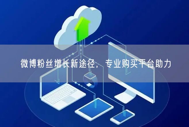 微博粉丝增长新途径，专业购买平台助力