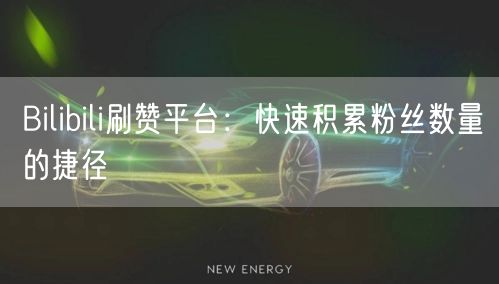 Bilibili刷赞平台：快速积累粉丝数量的捷径
