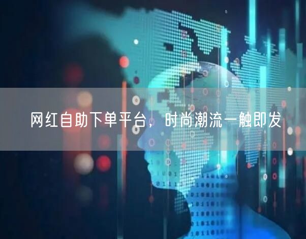 网红自助下单平台，时尚潮流一触即发