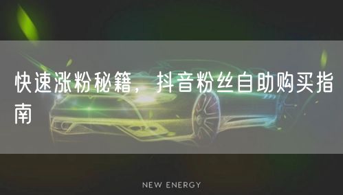 快速涨粉秘籍，抖音粉丝自助购买指南