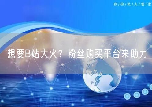 想要B站大火？粉丝购买平台来助力