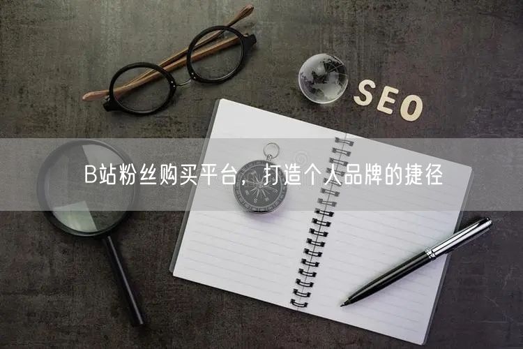 B站粉丝购买平台，打造个人品牌的捷径