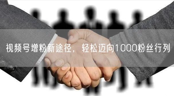 视频号增粉新途径，轻松迈向1000粉丝行列